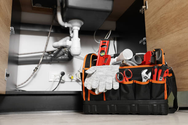Best Toilet Repair Services  in Ellitt, CO